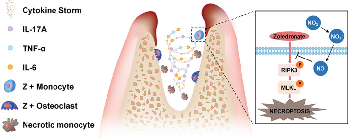 FIGURE 6
