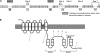 F<sc>IG</sc>. 4.—