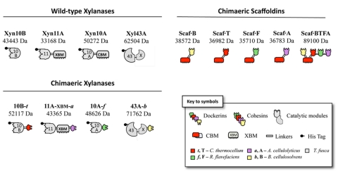 FIG 1 