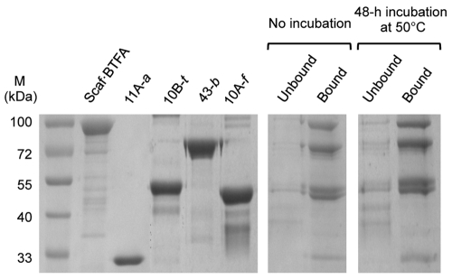 FIG 3 