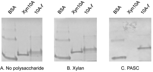 FIG 2 