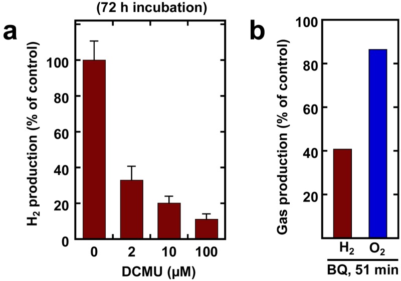 FIG 4 