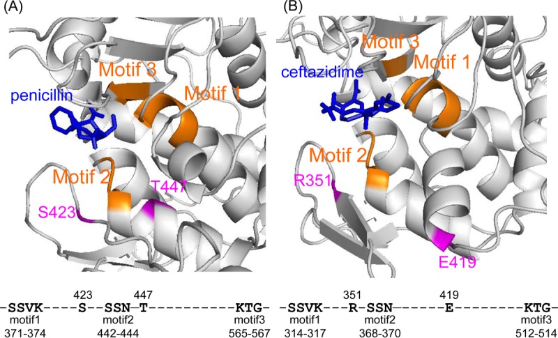 FIG 3