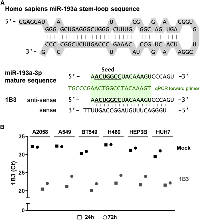 Figure 1