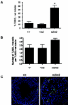 FIG.3.