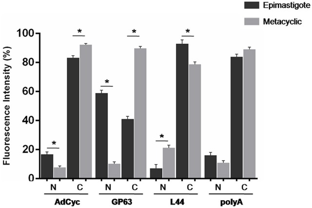 Figure 10