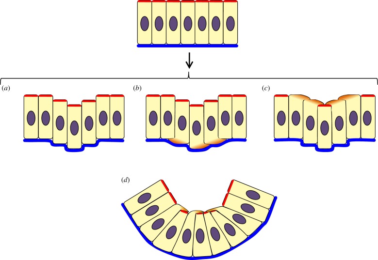 Figure 6.