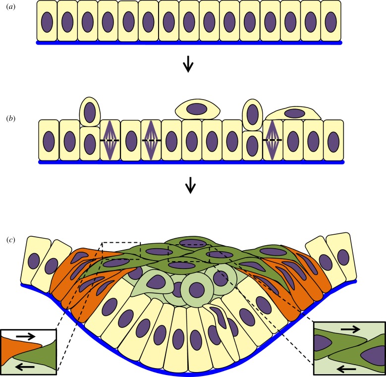 Figure 7.