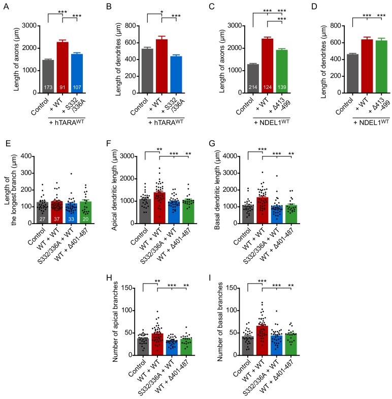 Figure 5—figure supplement 1.