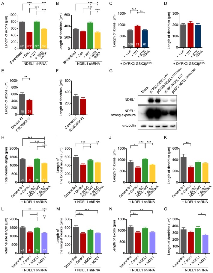 Figure 2—figure supplement 1.