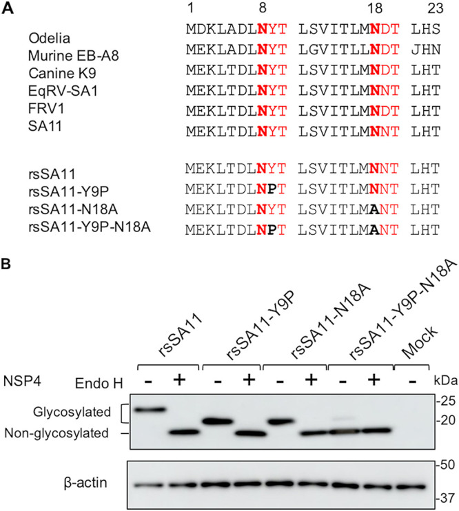 FIG 1