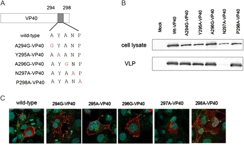 Figure 6.