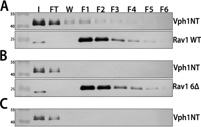 Figure 5.