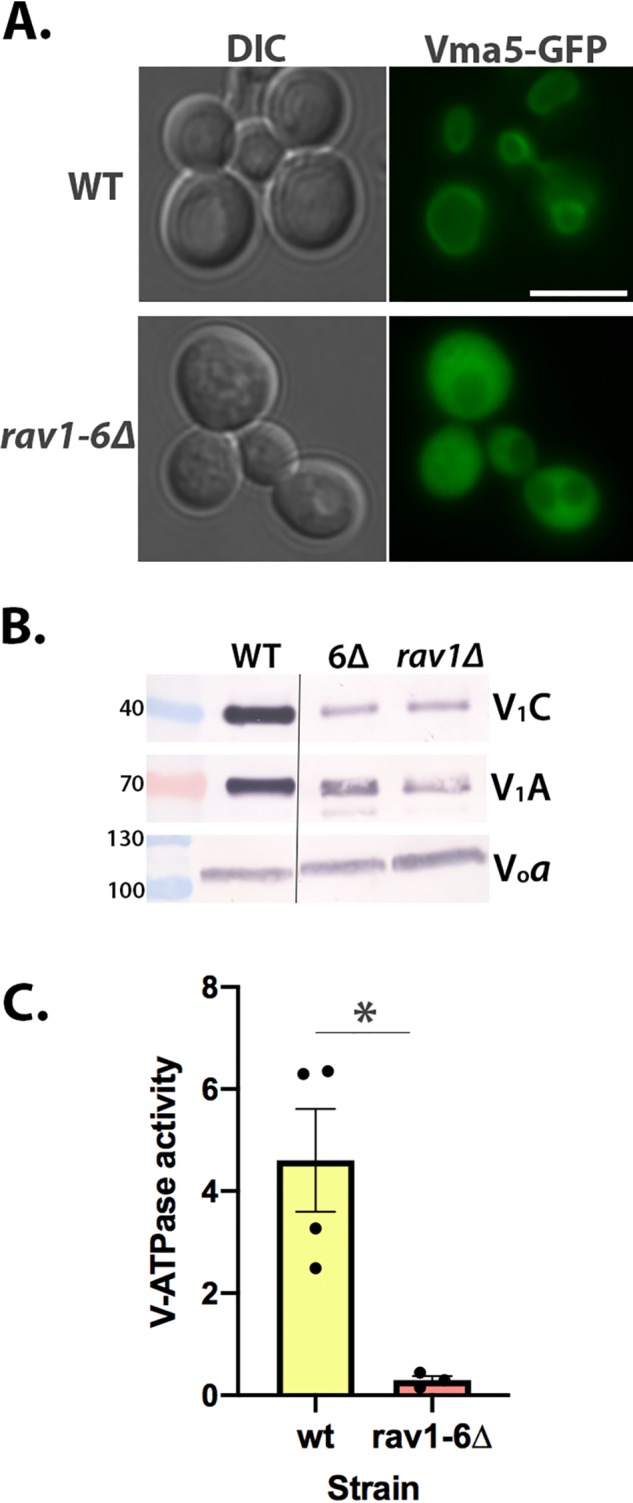 Figure 6.