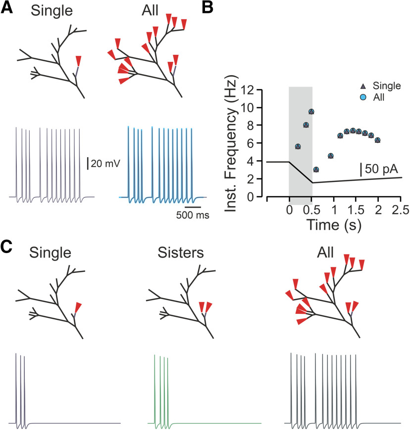 Figure 6.