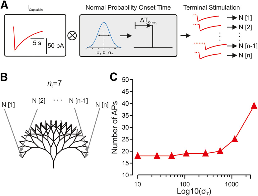 Figure 10.