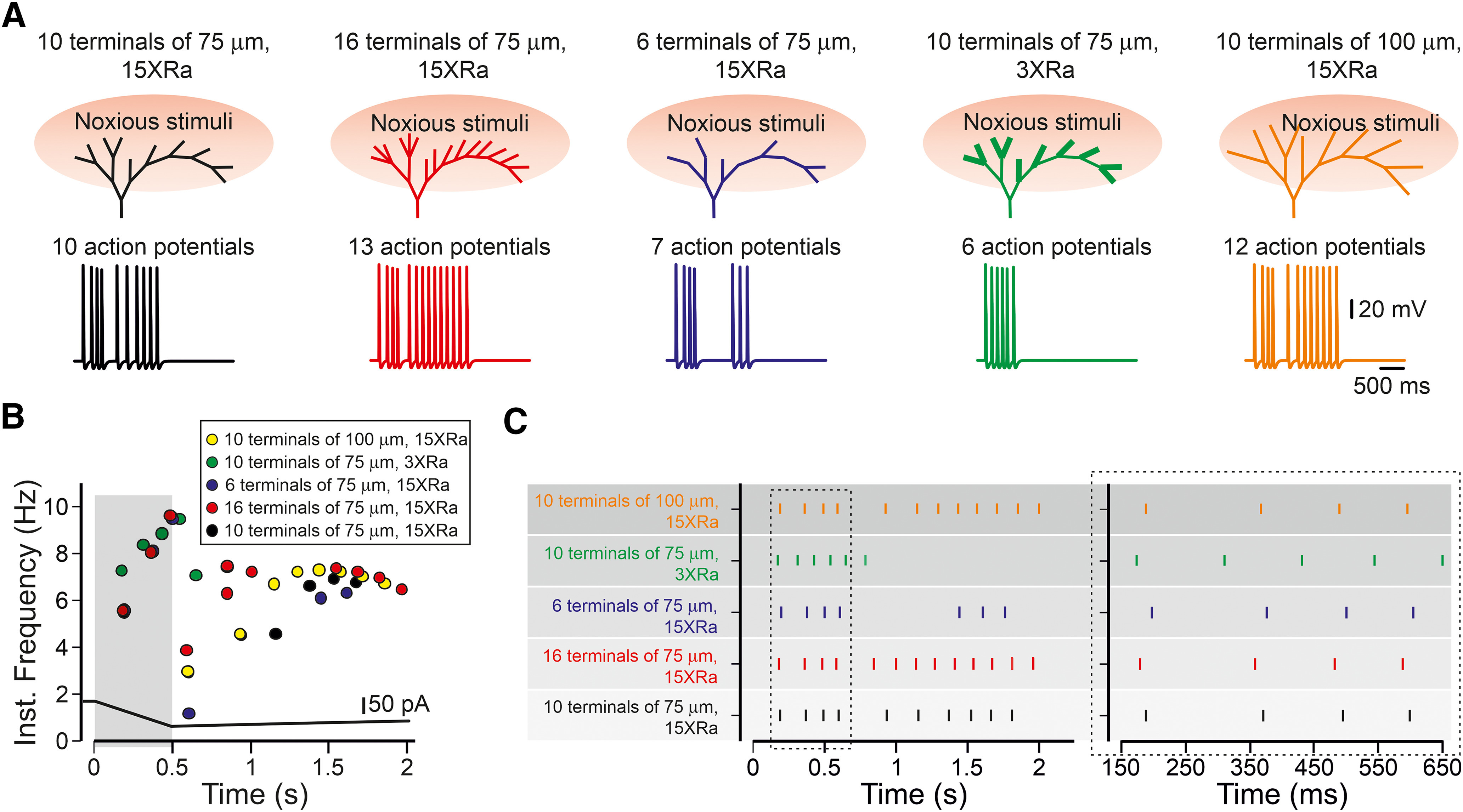 Figure 12.