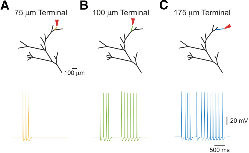 Figure 7.