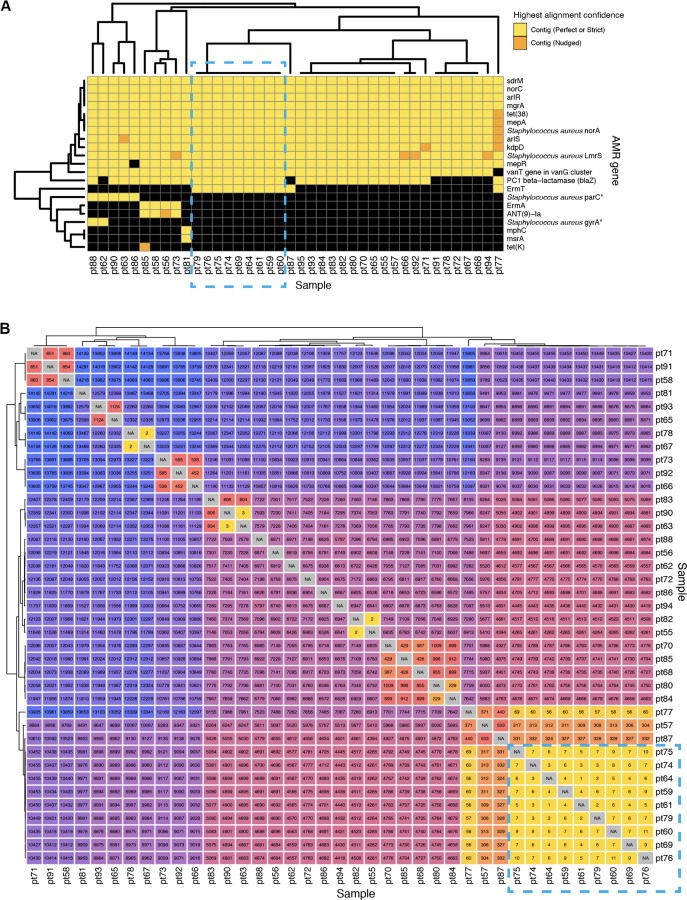 Figure 4: