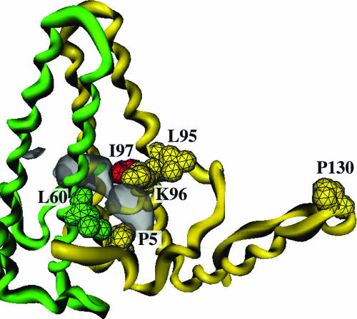 Fig. 5.