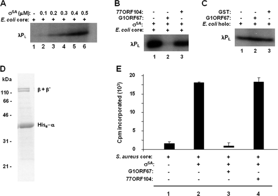 FIG. 6.