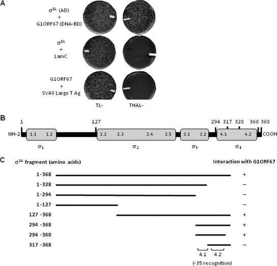 FIG. 4.