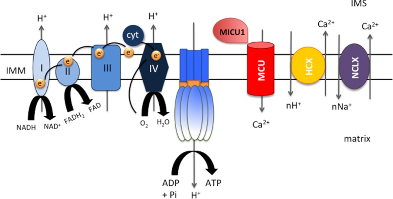 FIGURE 3.