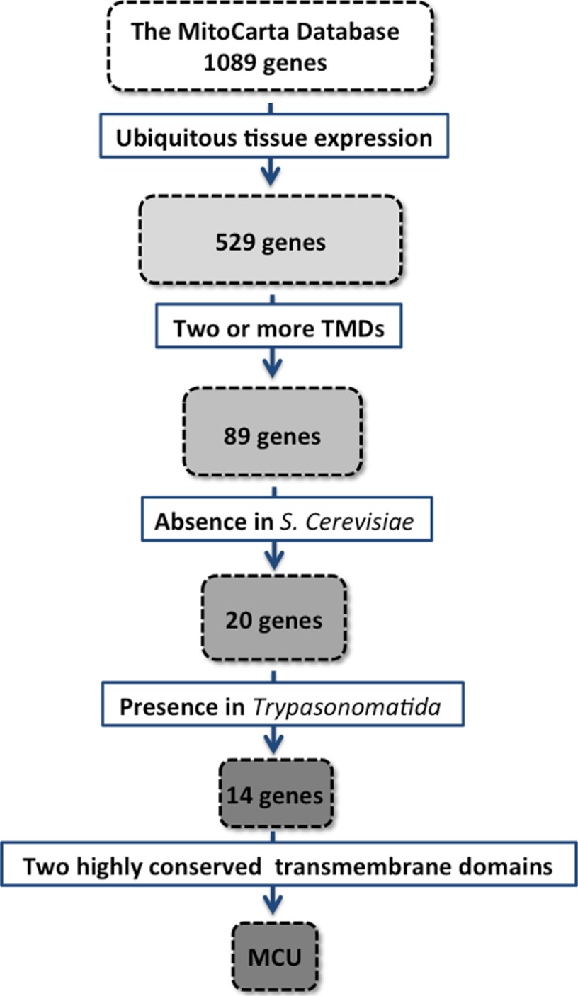 FIGURE 4.