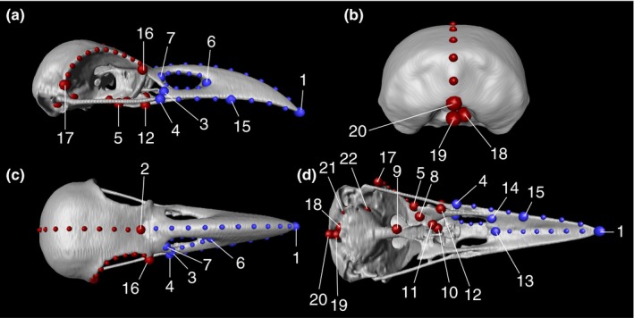 Figure 2