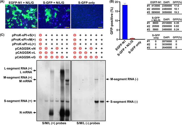 FIG 3