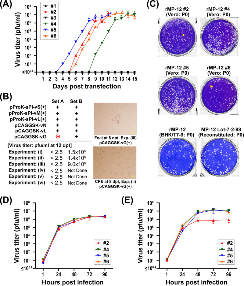 FIG 4