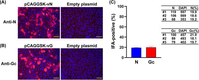 FIG 2