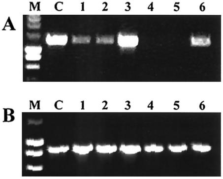 FIG. 5.