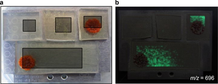 Figure 6