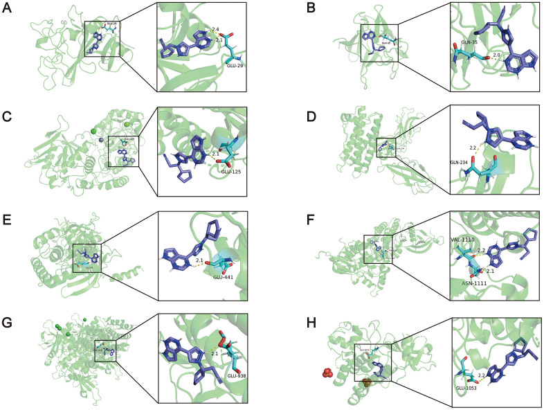 Figure 6