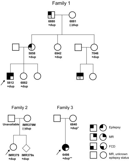 Figure  6. 