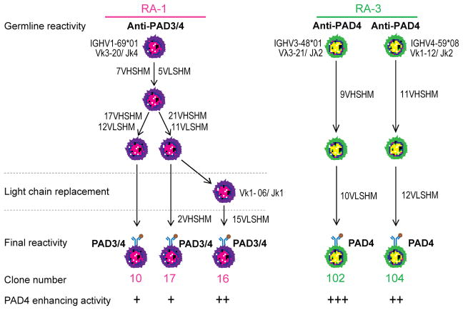 Fig. 6