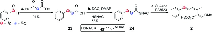 Scheme 2