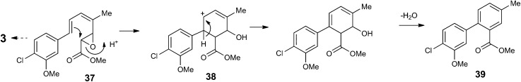 Scheme 4