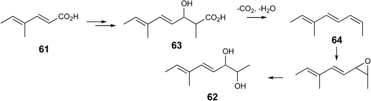 Scheme 7