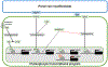 Fig. 10
