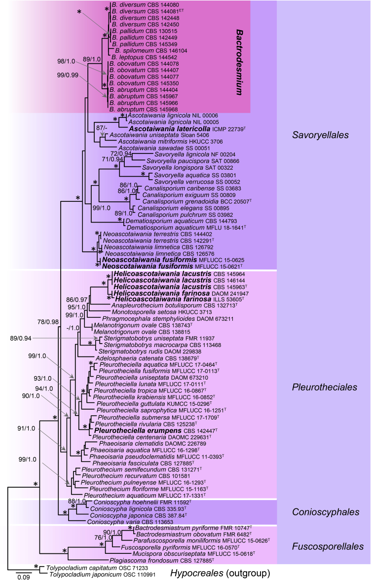 Fig. 1