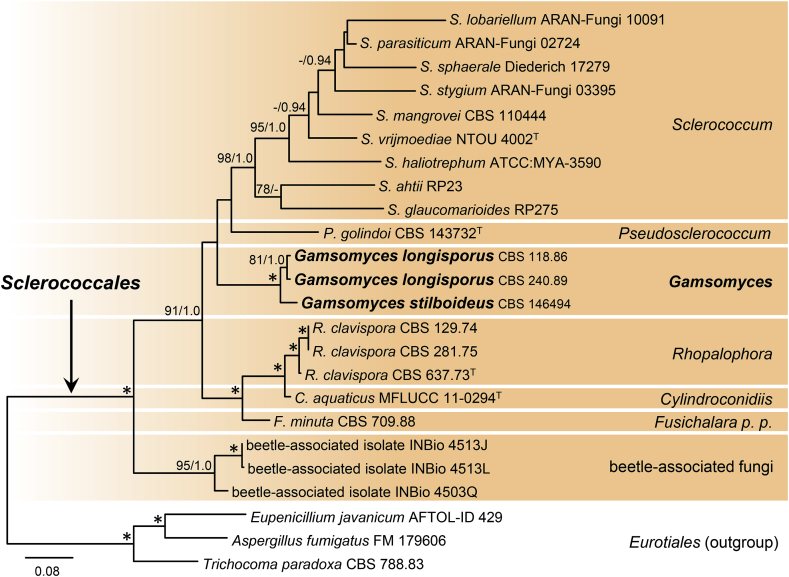 Fig. 4
