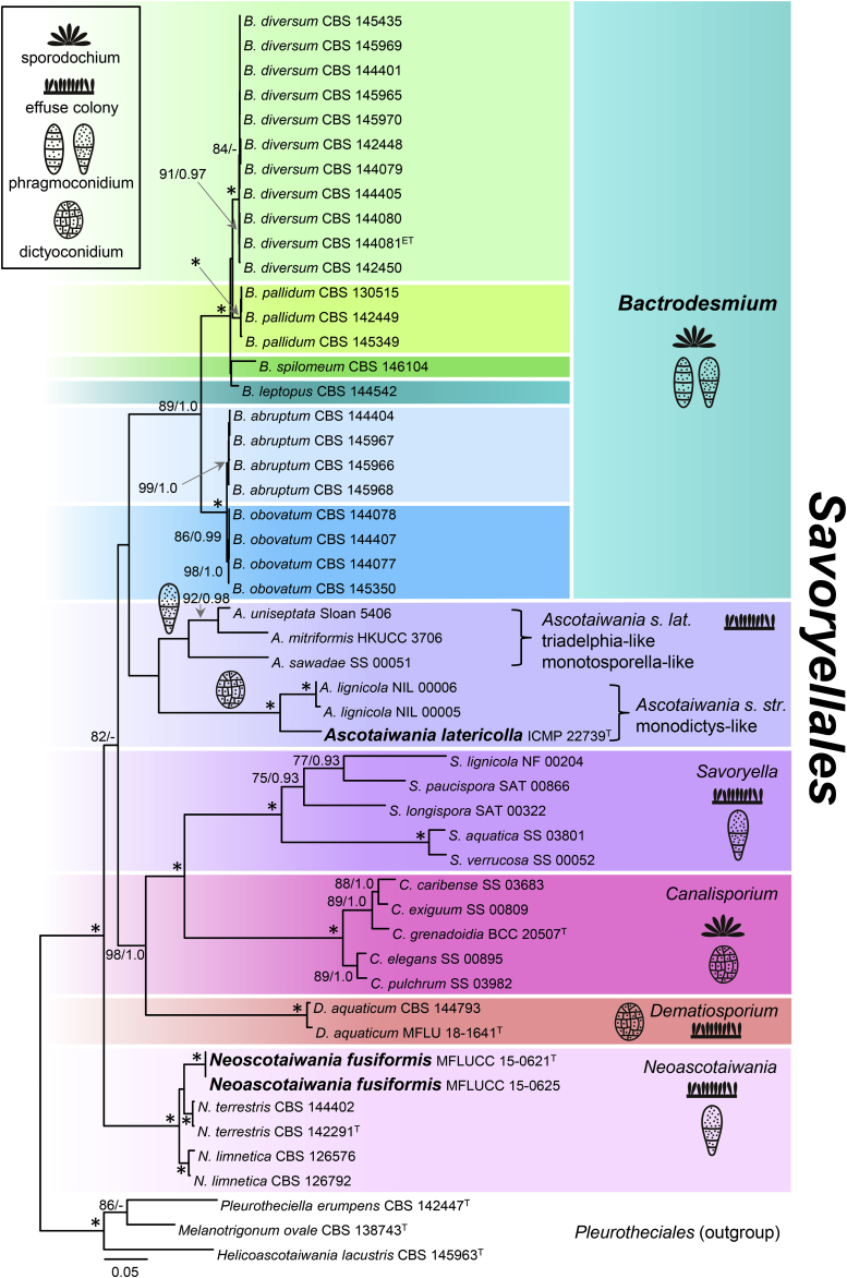Fig. 2
