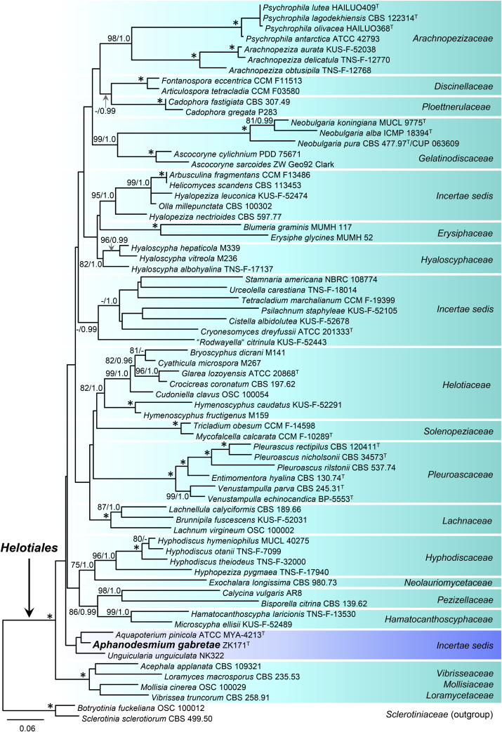 Fig. 3