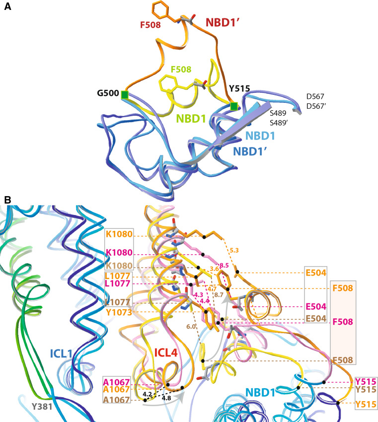 Fig. 4