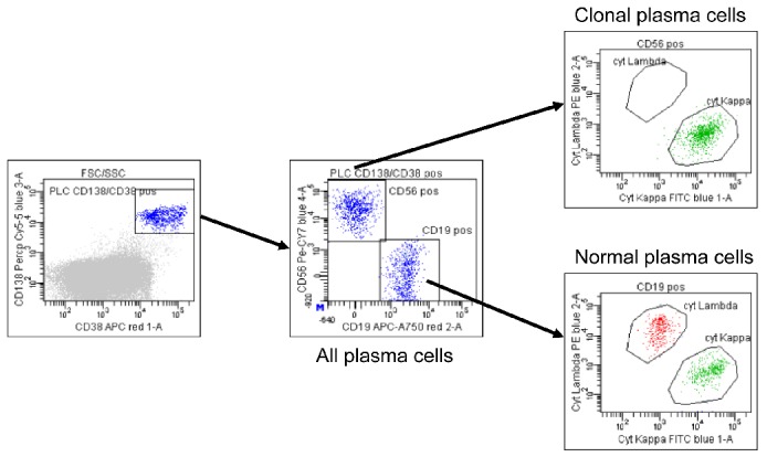 Figure 2.