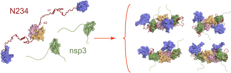 Fig. 7.