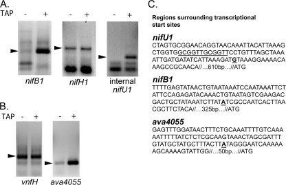 FIG. 4.