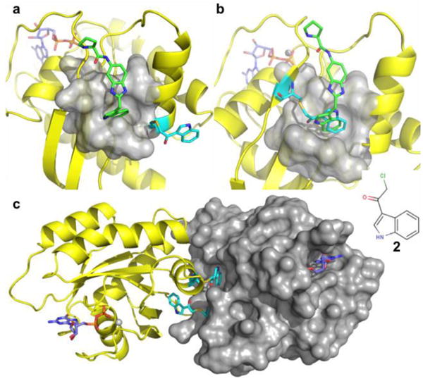 Fig. 2